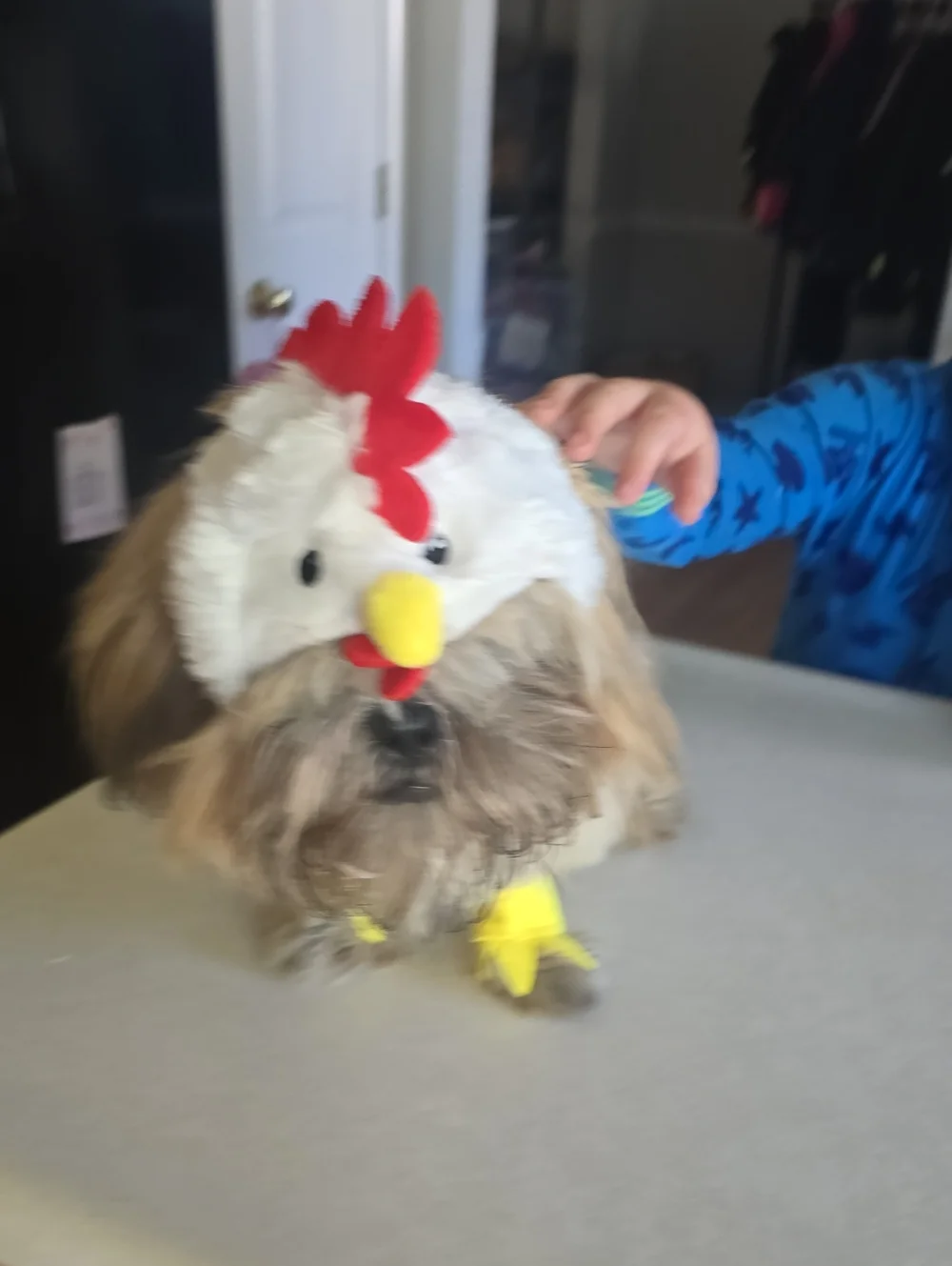 Hyde & Eek Chicken Costume For Pets